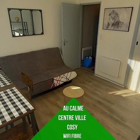 Petit Cocon Tarbais -Wifi-Parking Apartment Tarbes Exterior foto